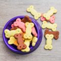 Train & Treat: Bite-Sized Rewards